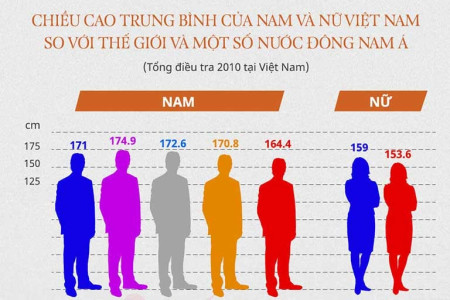  Chiều cao trung bình của người Việt Nam 2025: Sự cải thiện và so sánh với các quốc gia Đông Nam Á