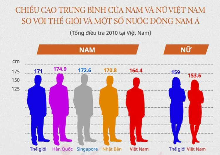  Chiều cao trung bình của người Việt Nam 2025: Sự cải thiện và so sánh với các quốc gia Đông Nam Á